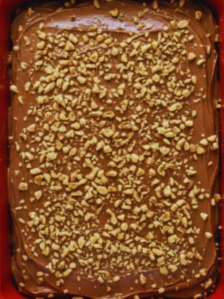 Freshly baked Texas Sheet Cake topped with warm chocolate icing and chopped walnuts, spread evenly in a jelly roll pan and ready to cool.