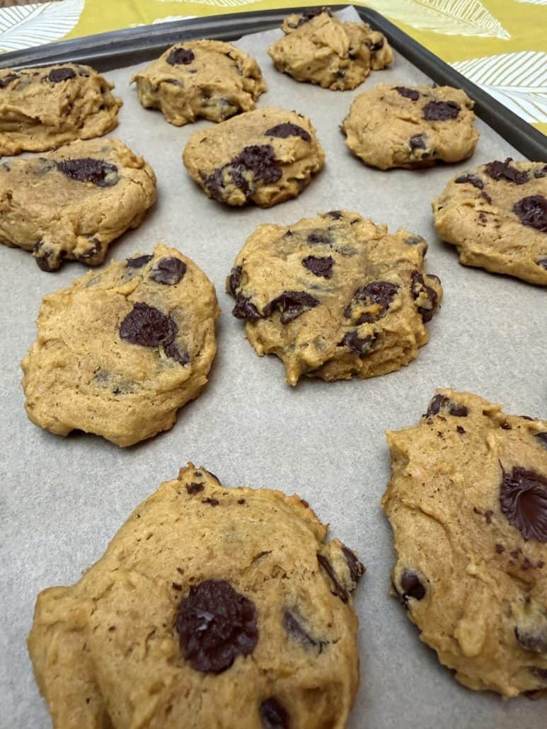 Zoomed-in view of soft and fluffy pumpkin chocolate chip cookies fresh out of the oven, showcasing their texture.