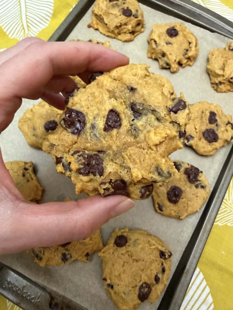 Hand holding a soft, fresh-baked pumpkin chocolate chip cookie over a tray of cookies, highlighting the texture and chocolate chips.