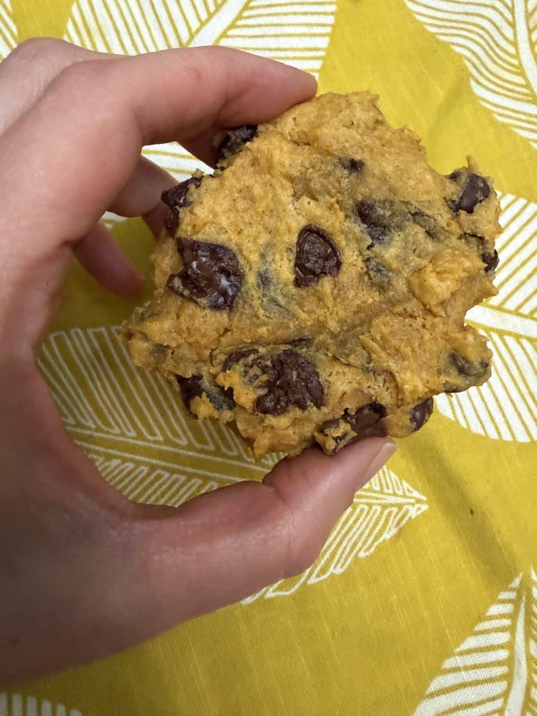 Close-up of a hand holding a soft pumpkin chocolate chip cookie, highlighting the gooey chocolate and golden pumpkin color from the homemade cookie recipe.