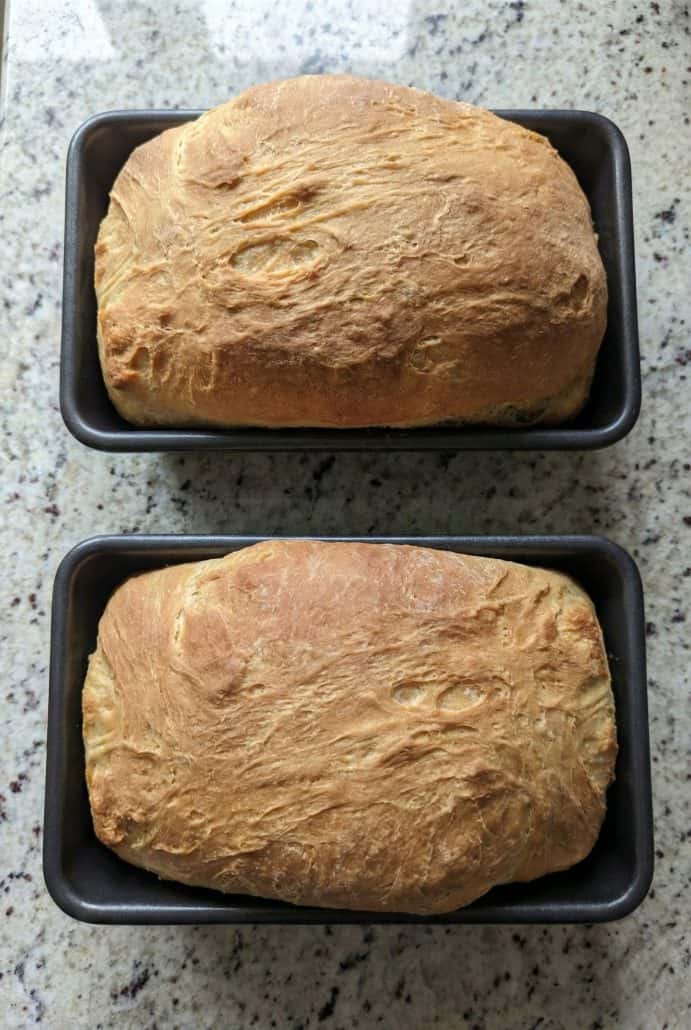 Two freshly baked loaves of Amish white bread in loaf pans, golden brown and ready to cool.