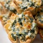 Spinach artichoke wonton cups with creamy cheese filling and crispy golden edges.