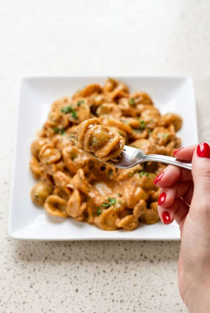 Fork twirling creamy French Onion Pasta with orecchiette, caramelized onions, melted cheese, and fresh parsley.