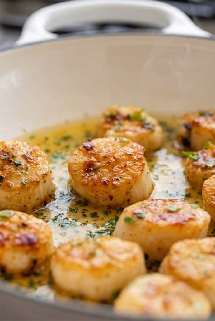 Close-up of golden seared garlic butter scallops in a rich lemon garlic sauce with fresh parsley.
