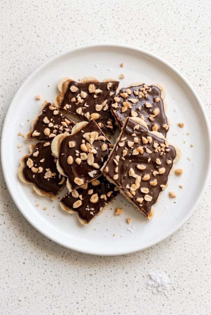 Chocolate banana bark pieces topped with dark chocolate and chopped peanuts, served on a plate as an easy frozen dessert.